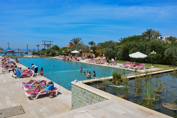 Edde Sands on Sunday